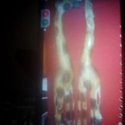Carved Wood Giraffes 3 Fttall