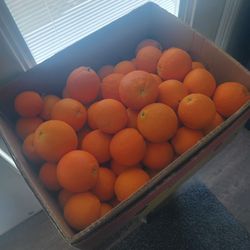 $30 A Box Of Orange 🍊