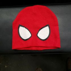 Spiderman Knit Hat