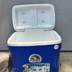Blue Igloo Cooler