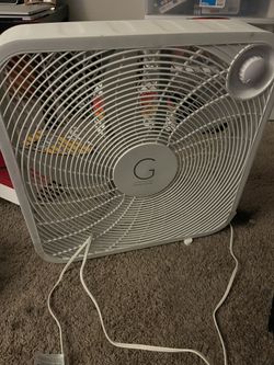 Fan