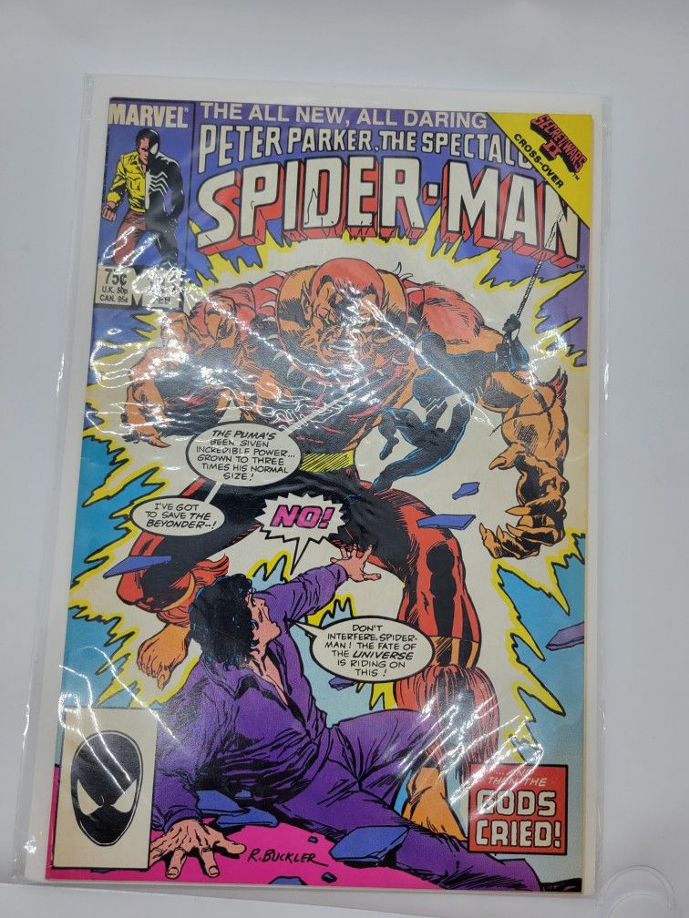Marvel Comics Peter Parker The Spectacular Spiderman #111 The Fate Of The Universe Is Decided And The Gods Cried