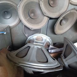Twelve inch speakers