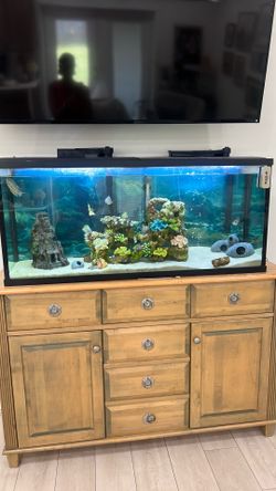 55 gal tank and cabinet and many accessories