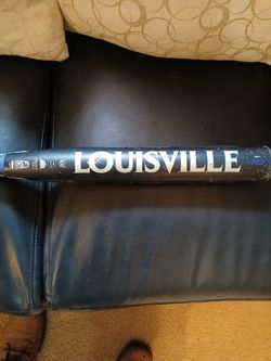 Fastpitch softball bat