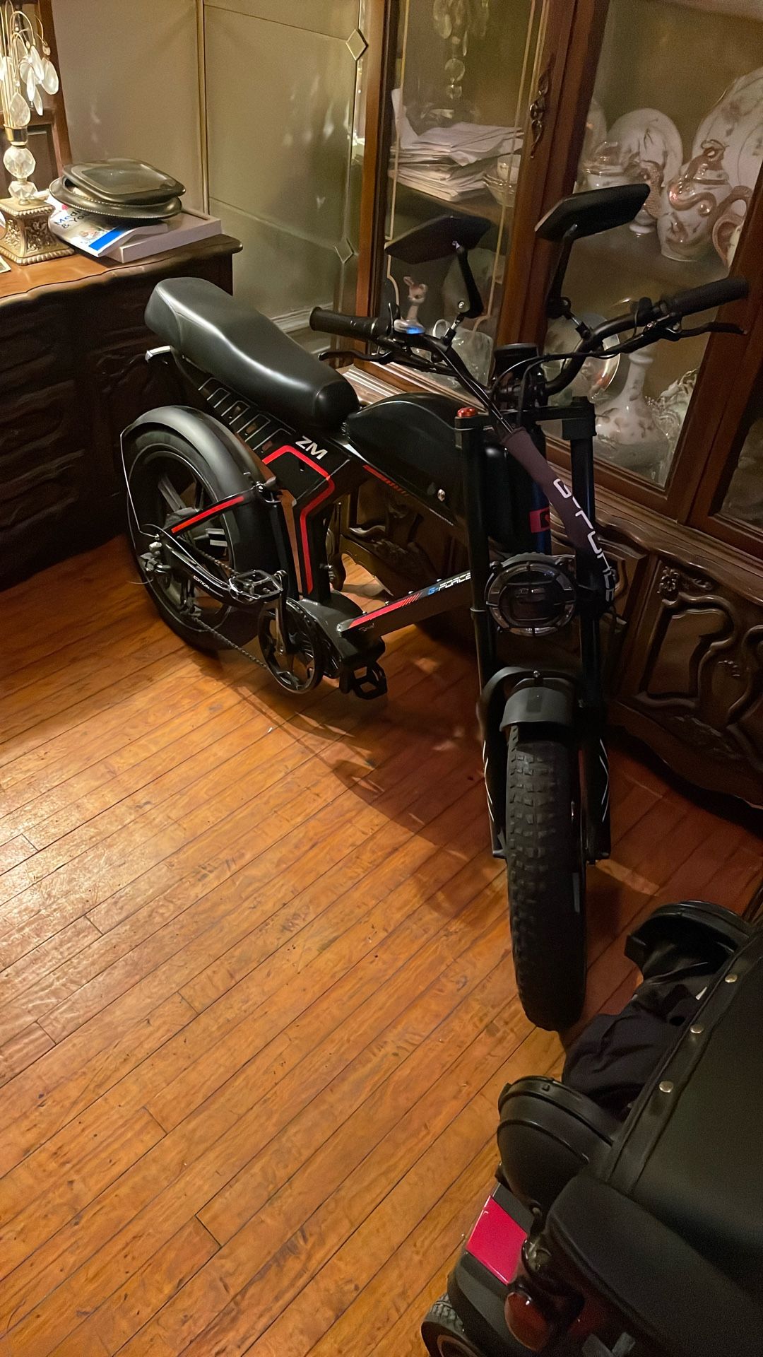 Electric Bike