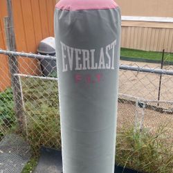 Everlastin Inflatable Boxing Training 