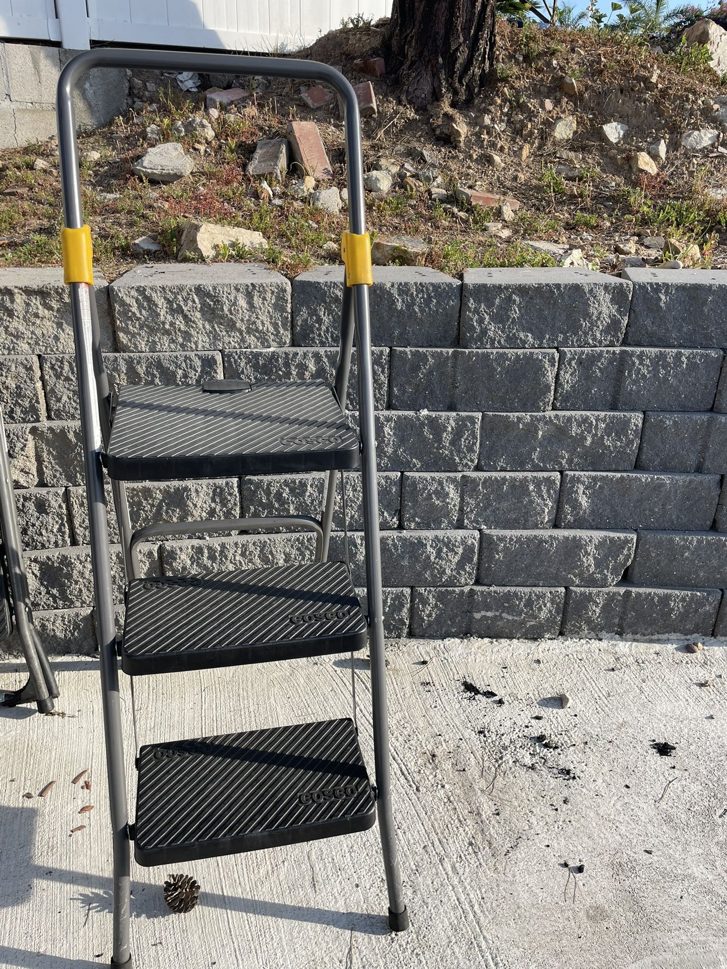 ladder
