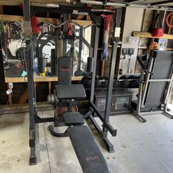 Gym Equipment  / Free Weights 