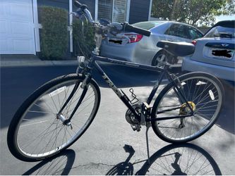 bikes: trek and raleigh