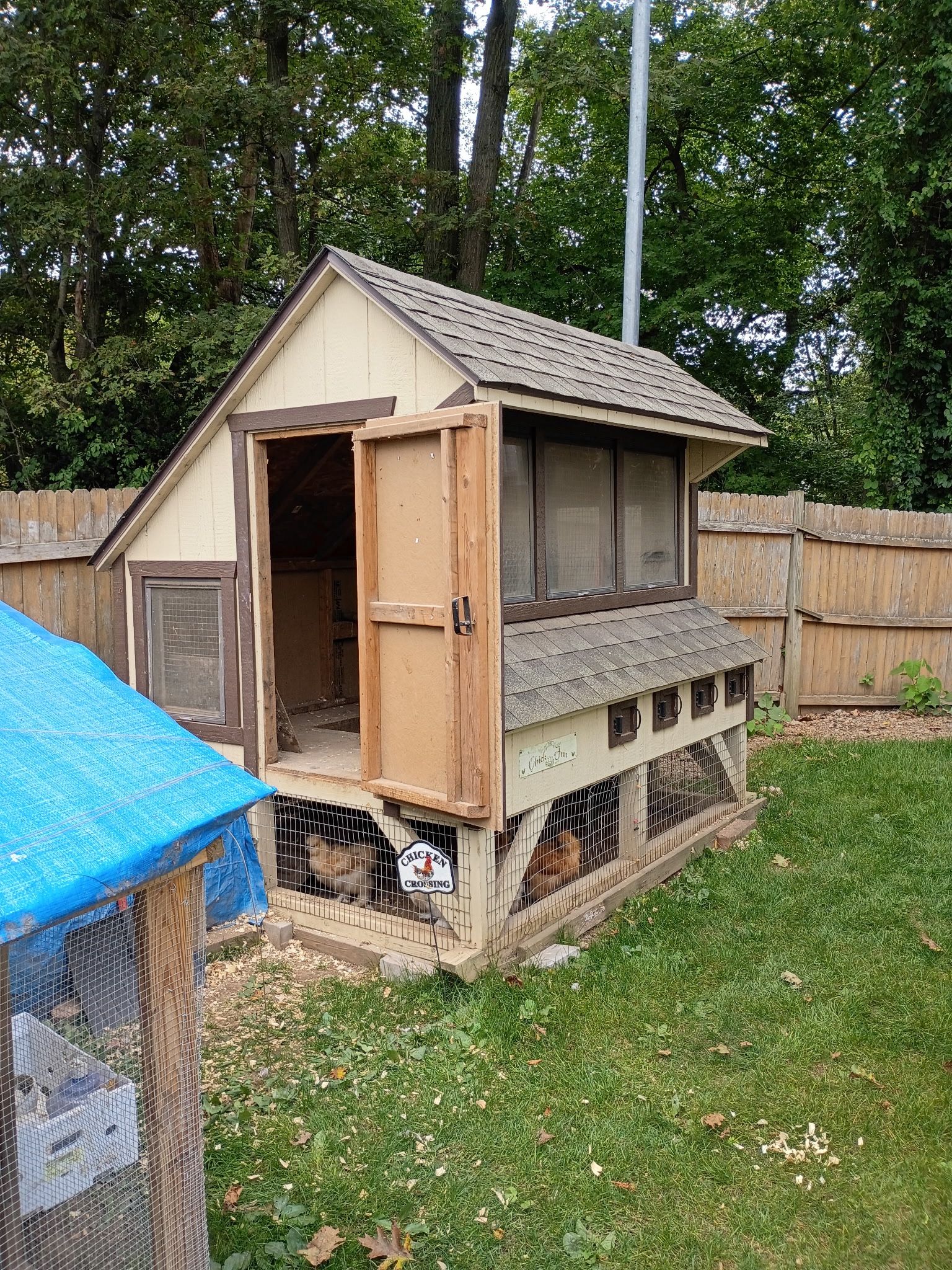 Chicken Coop