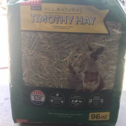 Timothy hay 