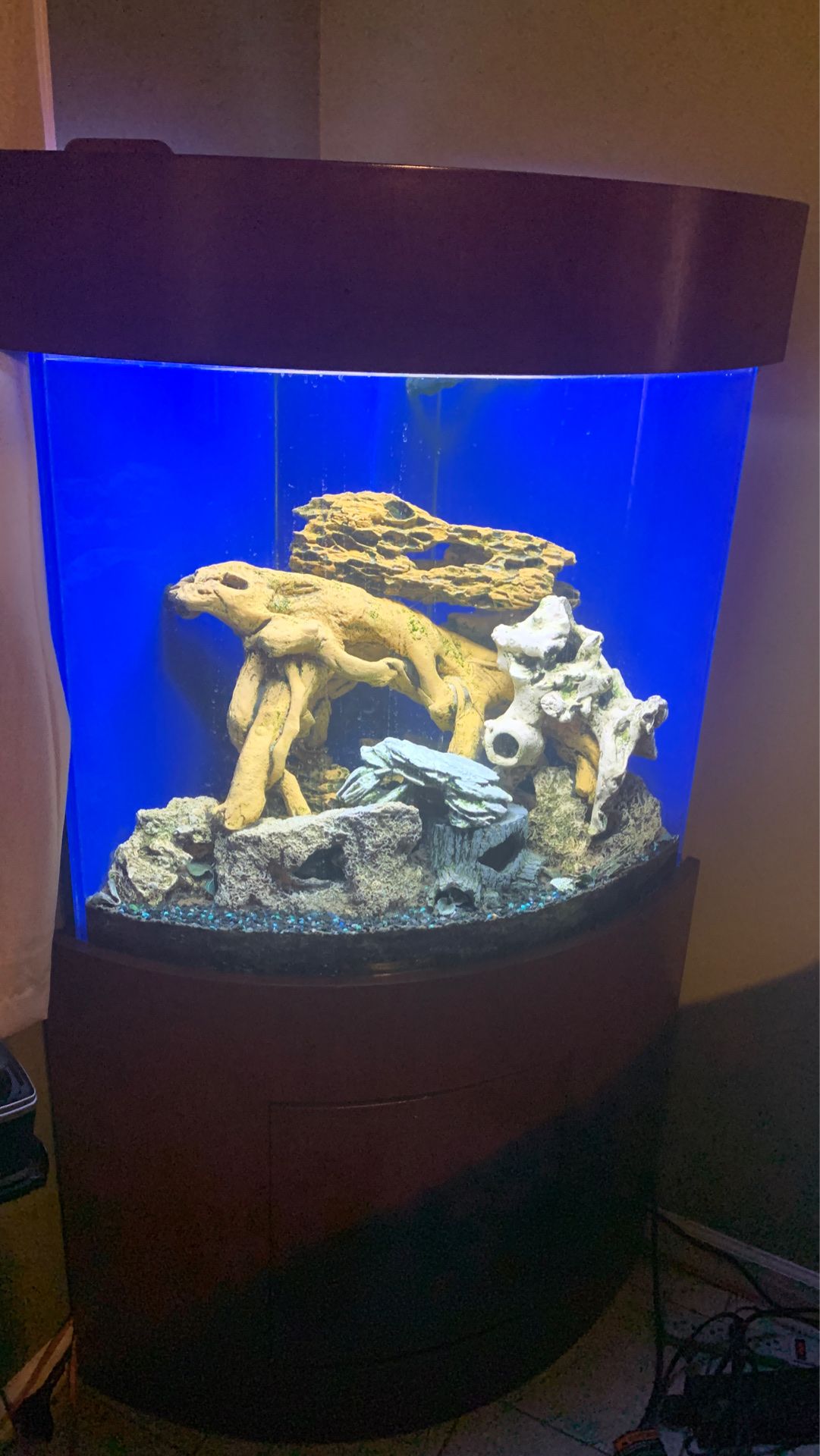 70 gallon acrylic corner fishtank