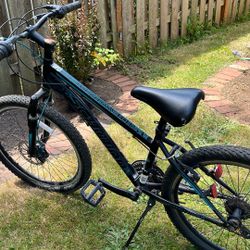 Schwinn Sidewinder 21 Speed