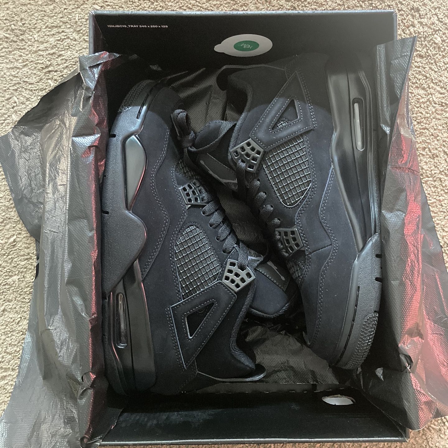 Air Jordan 4 Black cats