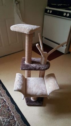 Cat playground