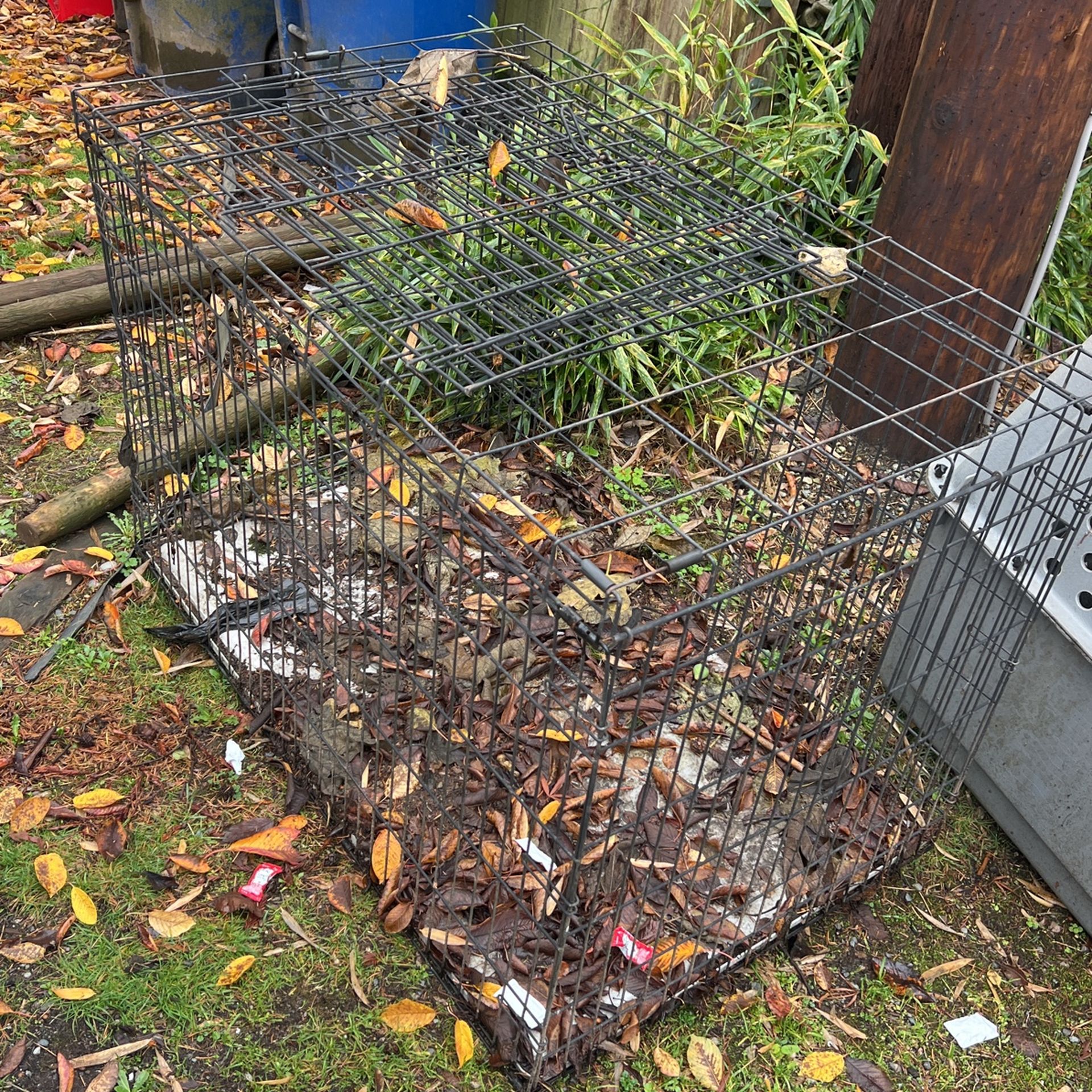 Free Large Dog Crate