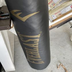 Everlast Punching Bag With Speed AH