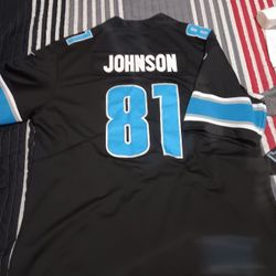2 Diff style Lions #81 Johnson Jerseys