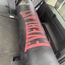 Everlast Punch Bag