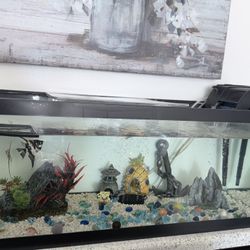 Aquarium Fish Tank