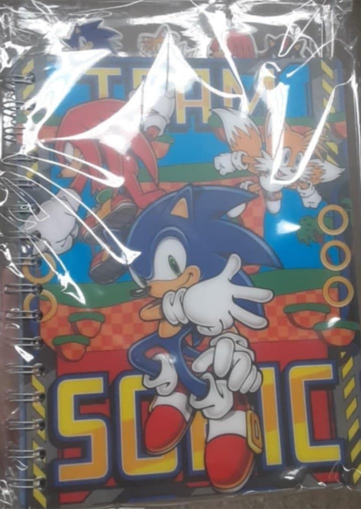 New Sonic The Hedgehog Tabbed Journal Book