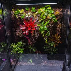 CUSTOM REPTILE ENCLOSURE
