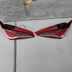 tail light assembly 