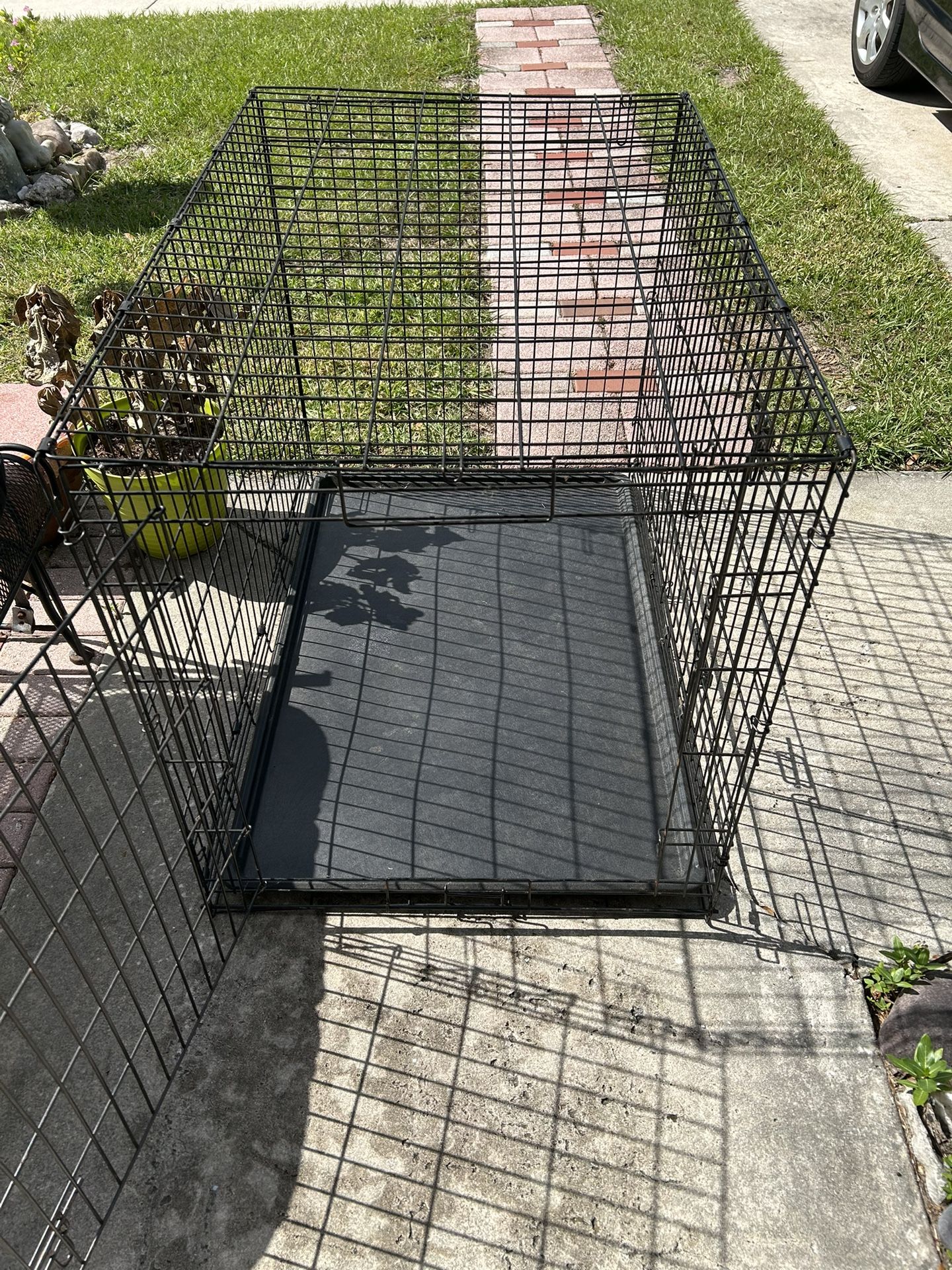 Dog Cage