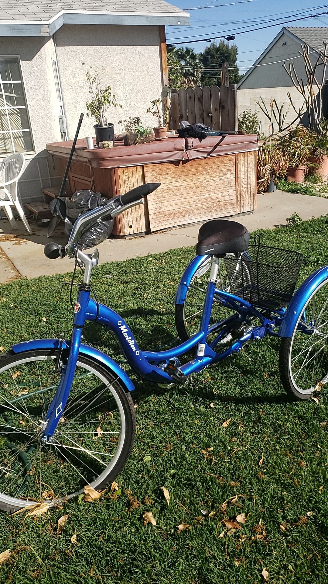 schwinn three wheel bike