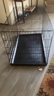 Large dog kennel