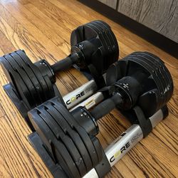 Core Home Fitness Adjustable Dumbbell Set