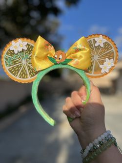 Orange Bird Mickey Ears