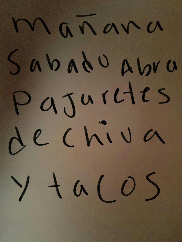 Sabado y domingo