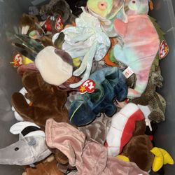 Beanie Baby