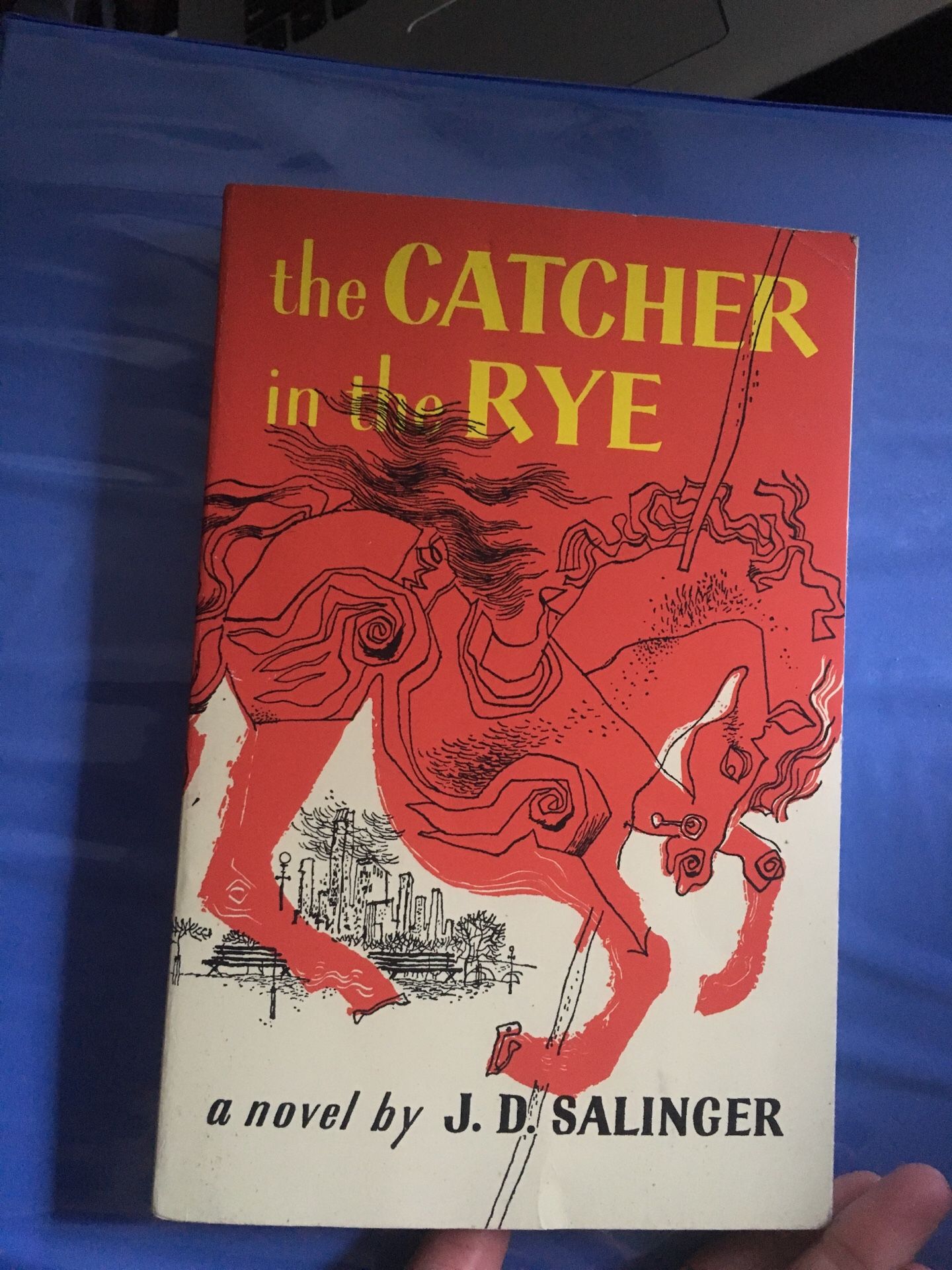 The Catcher in the Rye