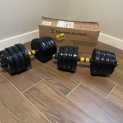 Adjustable Dumbbells (20 Lbs Each)