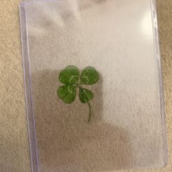 Lucky Irish Four Leaf Clover 