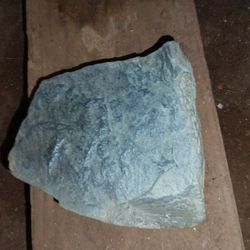 Ultra Rare Petrified Wood From The Hawaiian Coast Very Few Was Ever Found Highly Collectable And Collector Are Seeking Petrified Wood Is The New Item 