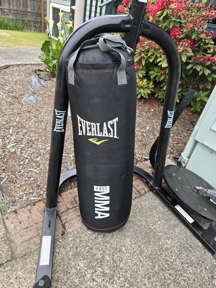 Punching Bag