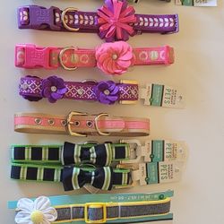 Martha Stewart Pets Large Dog Collars
