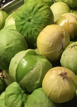 Organic Green Tomatillo Plants And Seeds! Perrennial Vareity! 2026 EARLY  RELEASE!