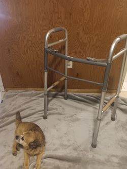 Medline Guardian Adult Folding Walker without Wheels