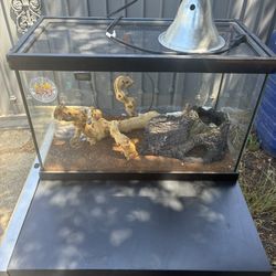 Reptile Cage 