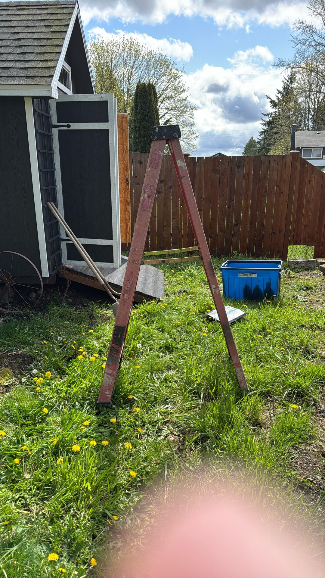 Werner 6 Foot Ladder