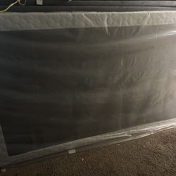 Twin size beds and box spring