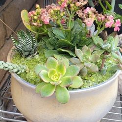 Glazed Silver/white/goldtone Bowl Of Succulents