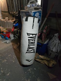 Everlast punching bag