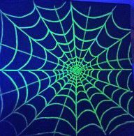 Giant Floor To Ceiling Glow N The Dark Spider Web. 