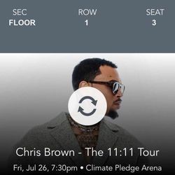 Chris Brown -The 11:11 Tour 